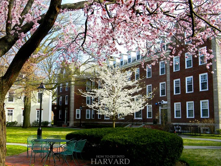 Harvard Campus Tour: 15 Best Places to Visit at Harvard - How to Get into Harvard