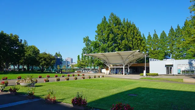 Tohoku University — widok 4