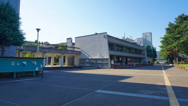 Tohoku University — widok 5