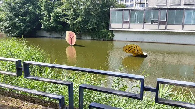 Vrije Universiteit Amsterdam — widok 3