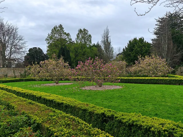 University College Dublin — widok 2