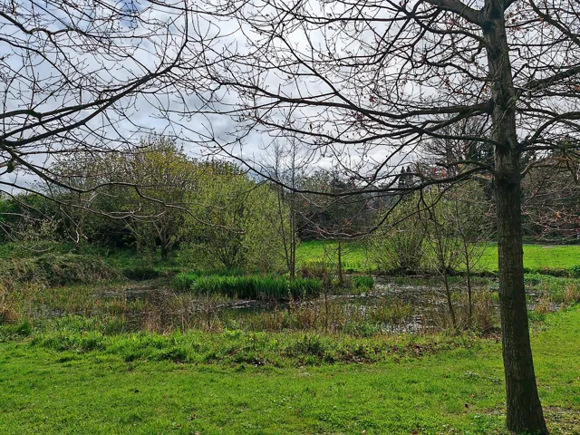 University College Dublin — widok 3