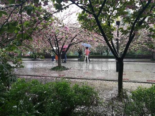 University of Science and Technology of China — widok 3