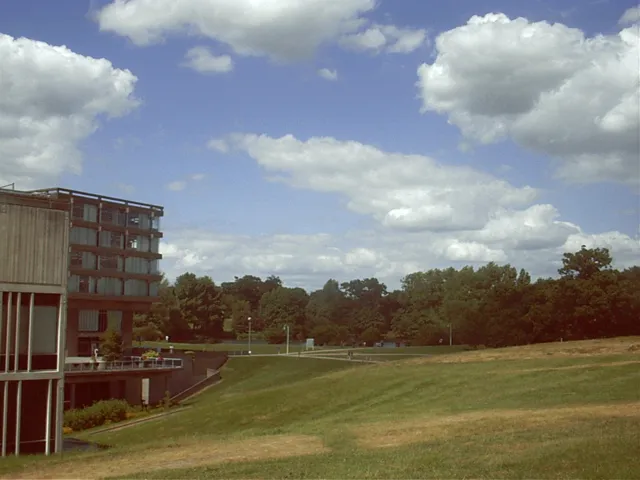 University of Essex — widok 2