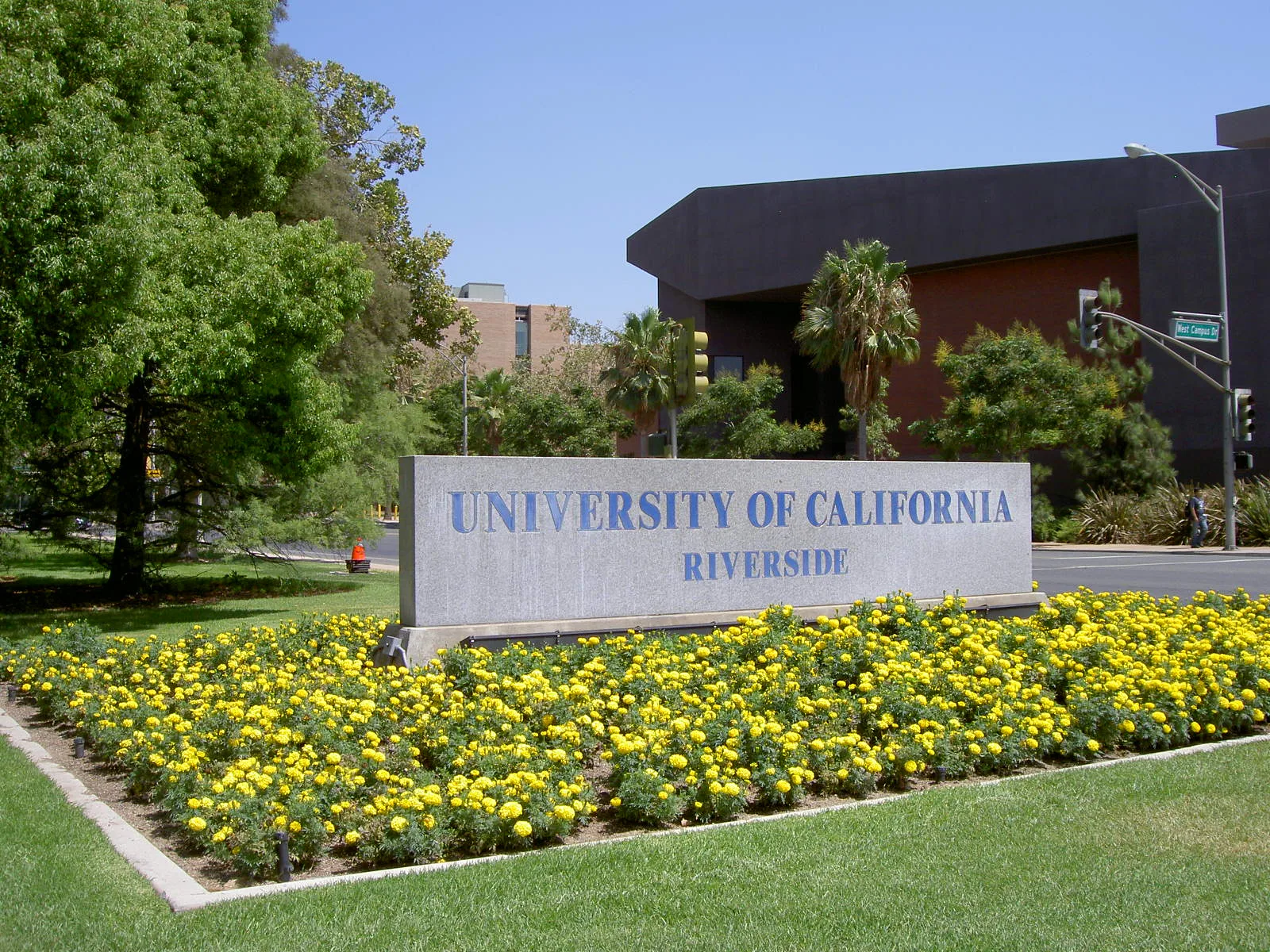 University of California, Riverside — kampus