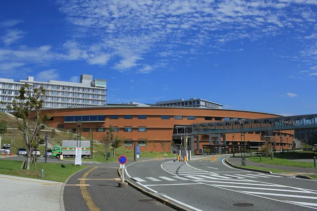Kyushu University — widok 4