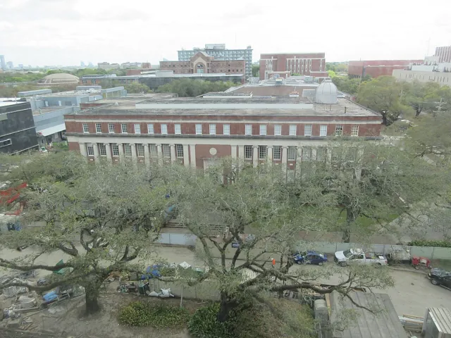 Tulane University — widok 2