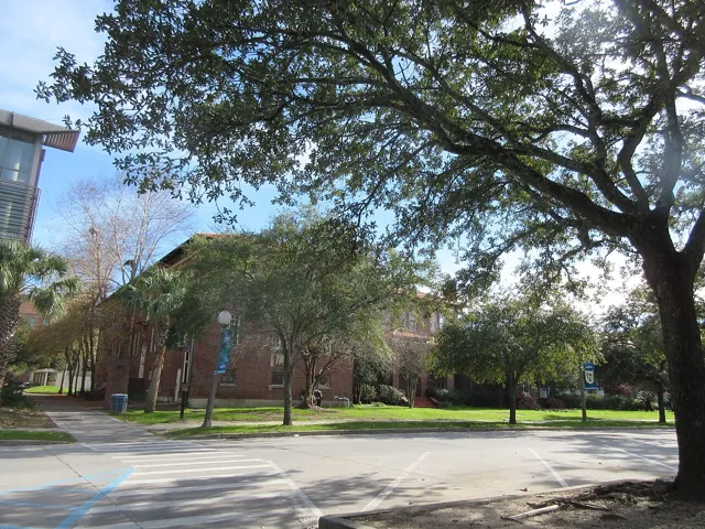 Tulane University — widok 5
