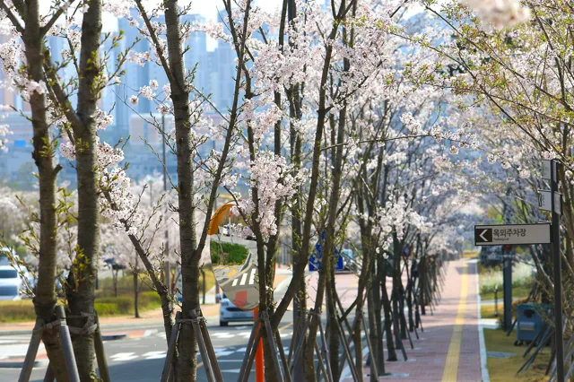 Daegu Gyeongbuk Institute of Science and Technology — widok 3