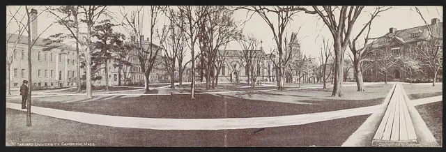 Harvard University — widok 3
