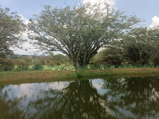 Universiti Putra Malaysia — widok 2