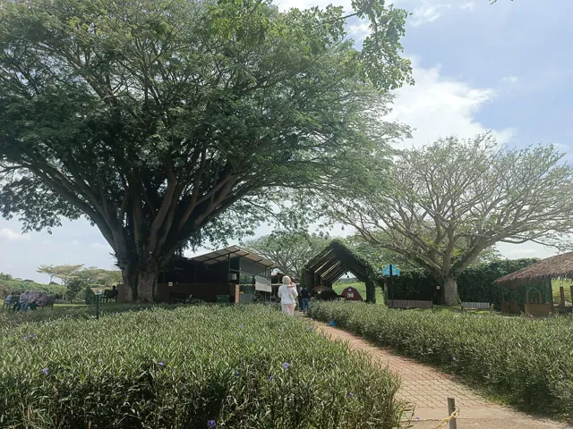 Universiti Putra Malaysia — widok 4