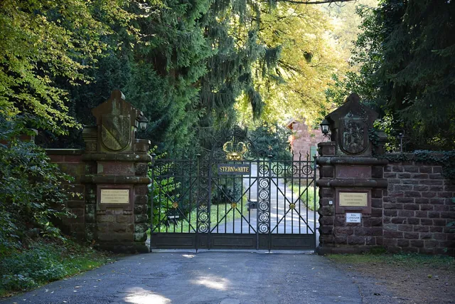 Heidelberg University — widok 5