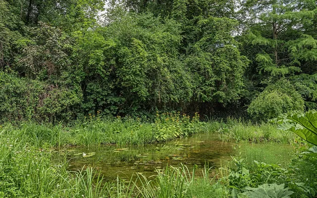 Uniwersytet w Getyndze — widok 4