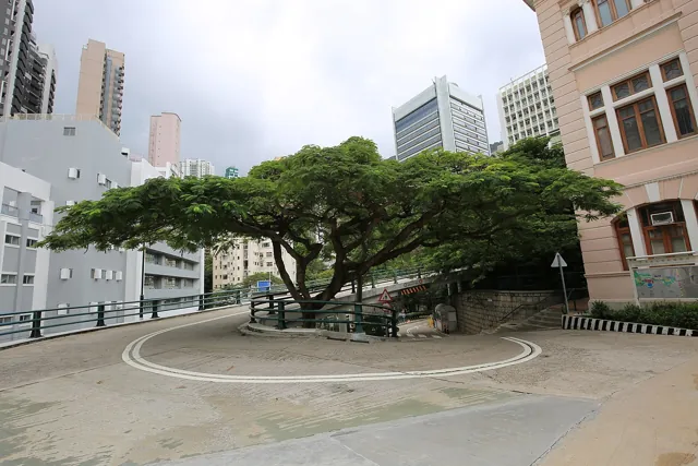 University of Hong Kong — widok 4