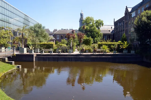 Leiden University — widok 2