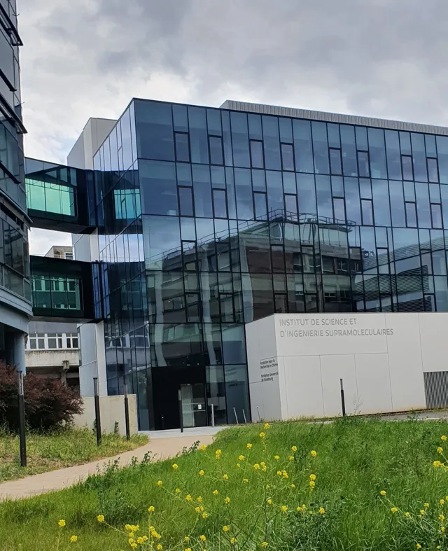 Université de Strasbourg — widok 2