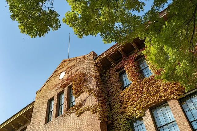 Tsinghua University — widok 3