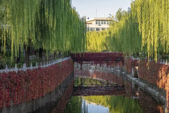 Tsinghua University — widok 5
