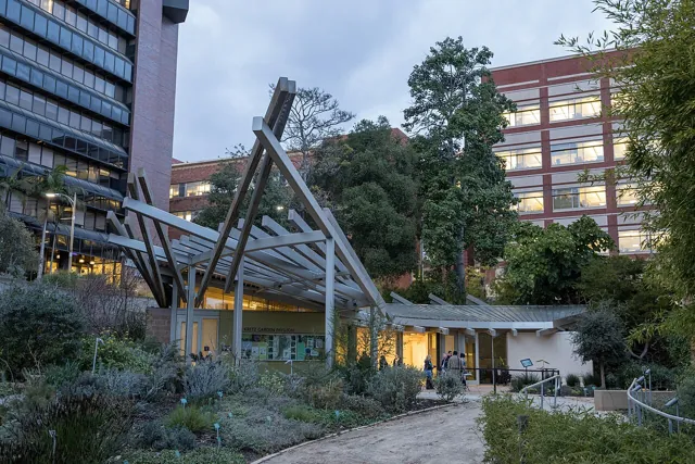 University of California, Los Angeles — widok 4