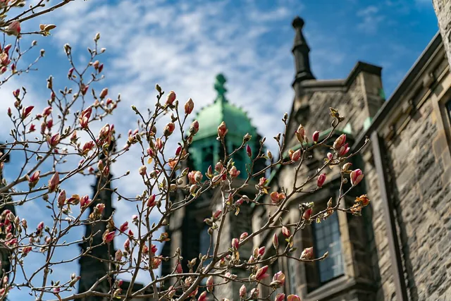University of Toronto — widok 3