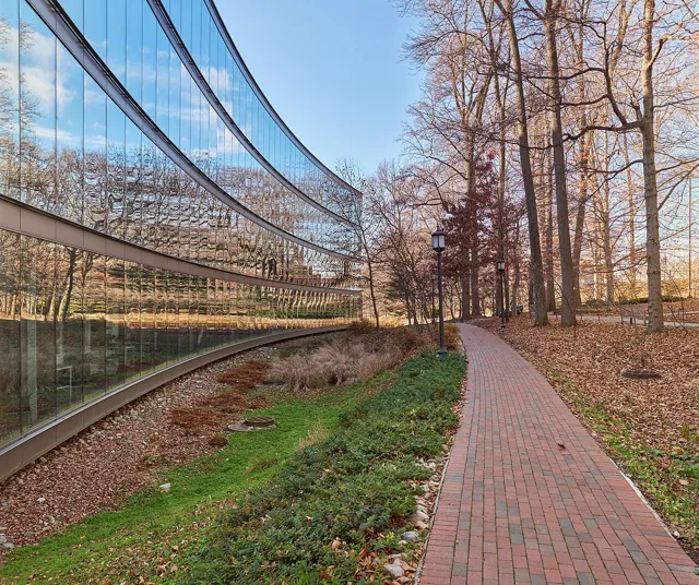 Johns Hopkins University — widok 4