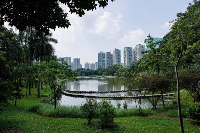 Shenzhen University — widok 3