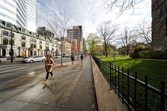 McGill University — widok 3