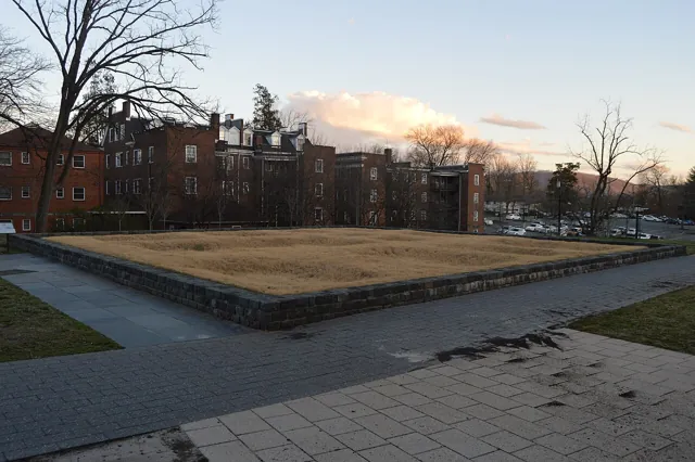 University of Virginia — widok 2