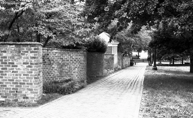 University of Virginia — widok 3