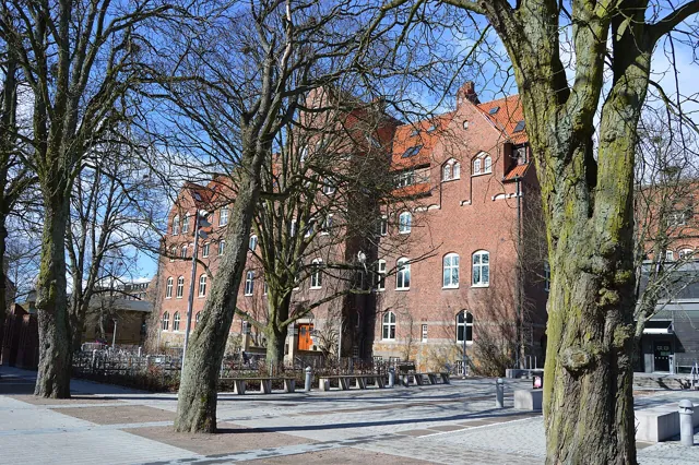 Lund University — widok 2