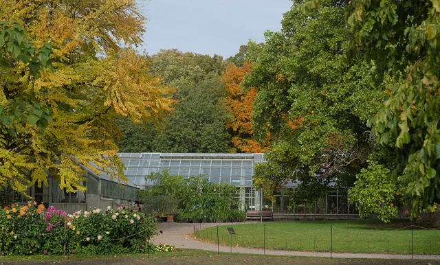 Lund University — widok 5