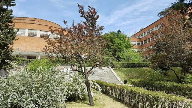 Universidad Complutense de Madrid — widok 3