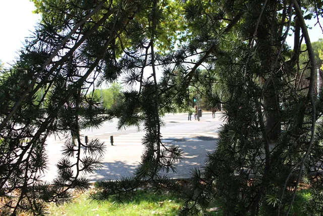 Universidad Complutense de Madrid — widok 5