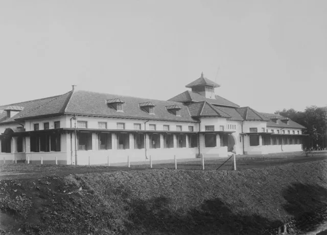 IPB University — widok 5