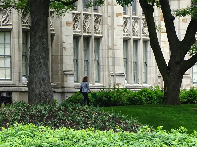 University of Pittsburgh — widok 4