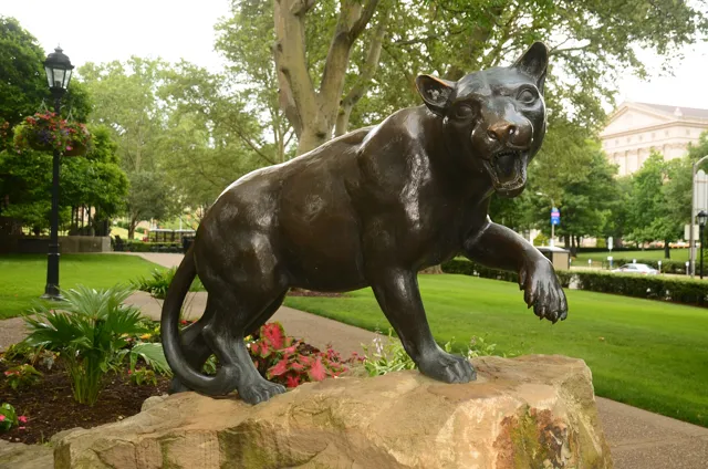 University of Pittsburgh — widok 5