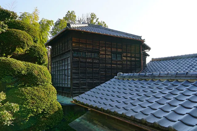 Waseda University — widok 2