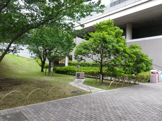 Waseda University — widok 5