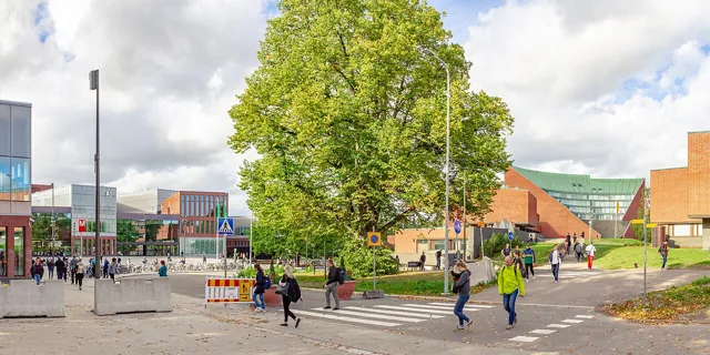 Aalto University — widok 2