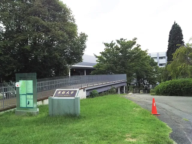Kyoto University — widok 5