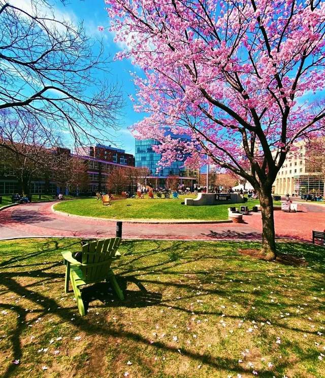 Northeastern University — widok 2