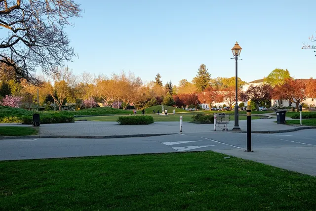 University of British Columbia — widok 2