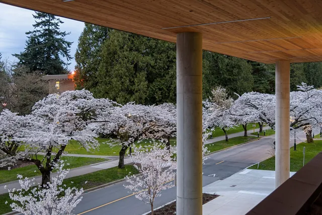 University of British Columbia — widok 3