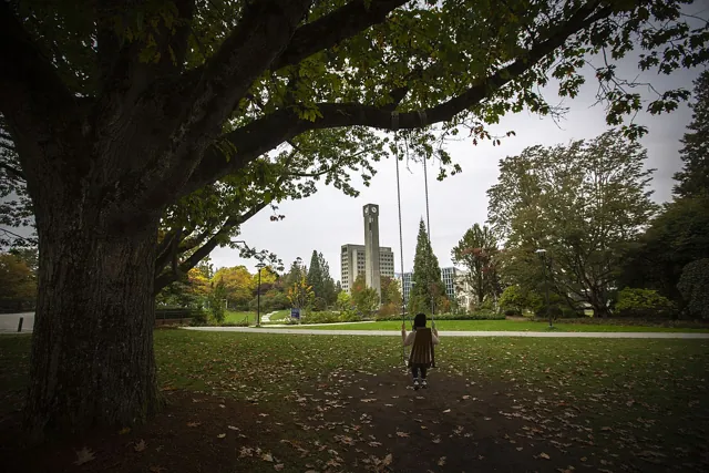 University of British Columbia — widok 4