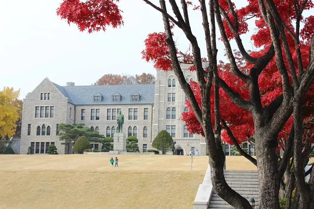 Korea University — widok 2