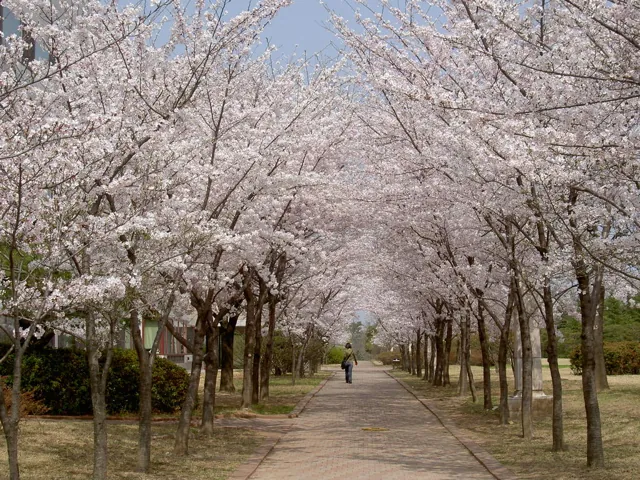 Pohang University of Science and Technology — widok 4