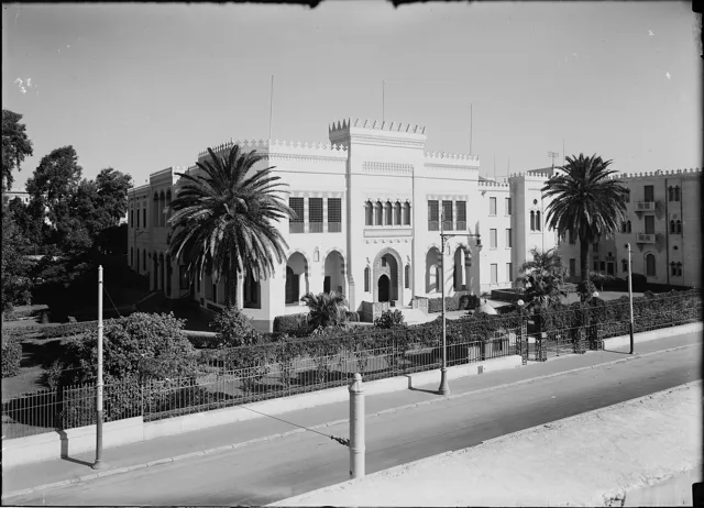 American University in Cairo — widok 3