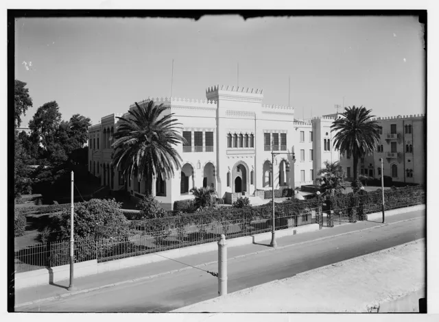 American University in Cairo — widok 4