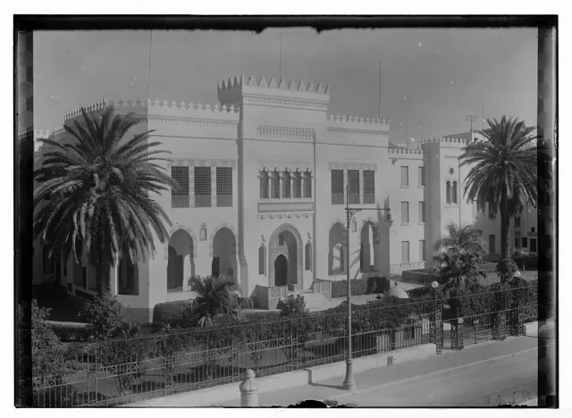 American University in Cairo — widok 5